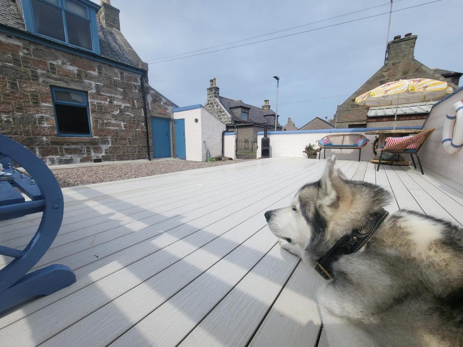 Going Coastal Villa Fraserburgh Dış mekan fotoğraf